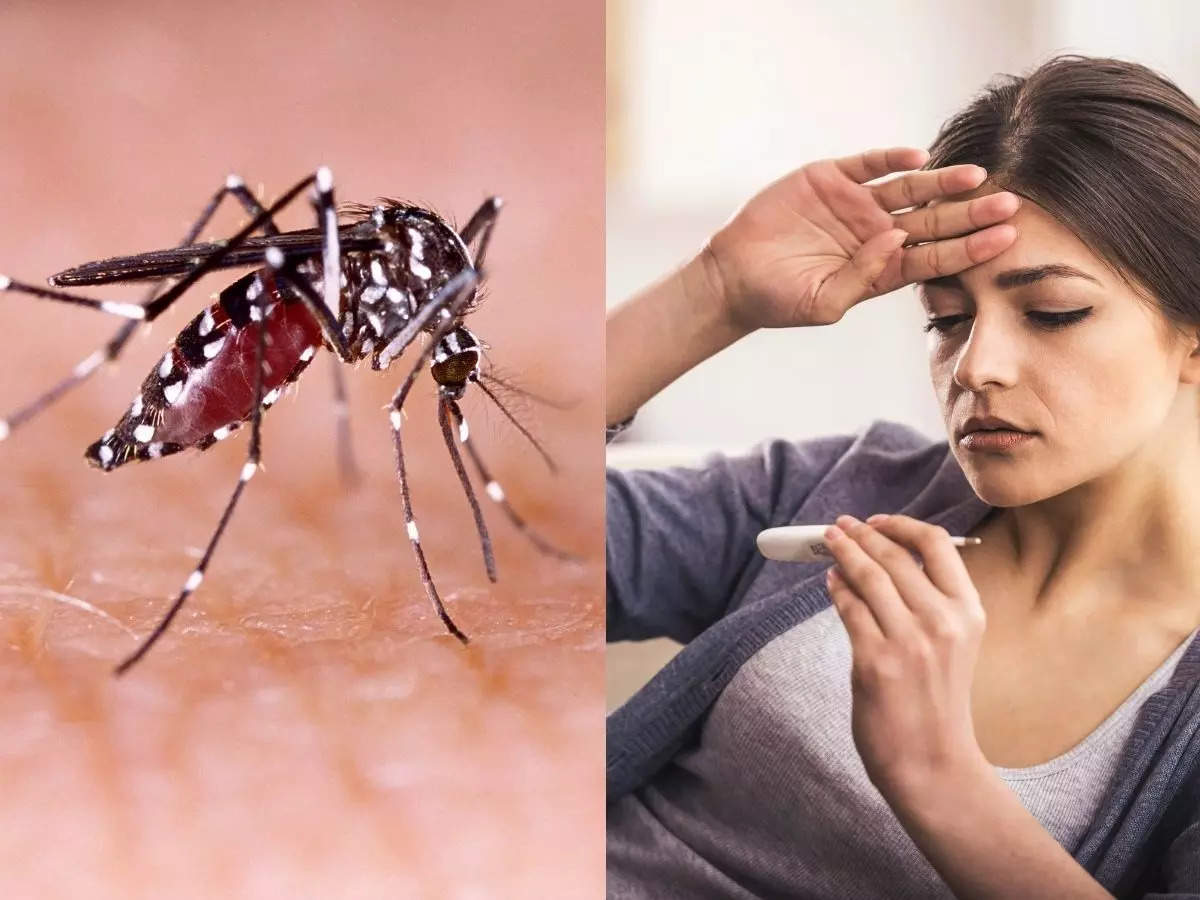 Dengue prevention news update