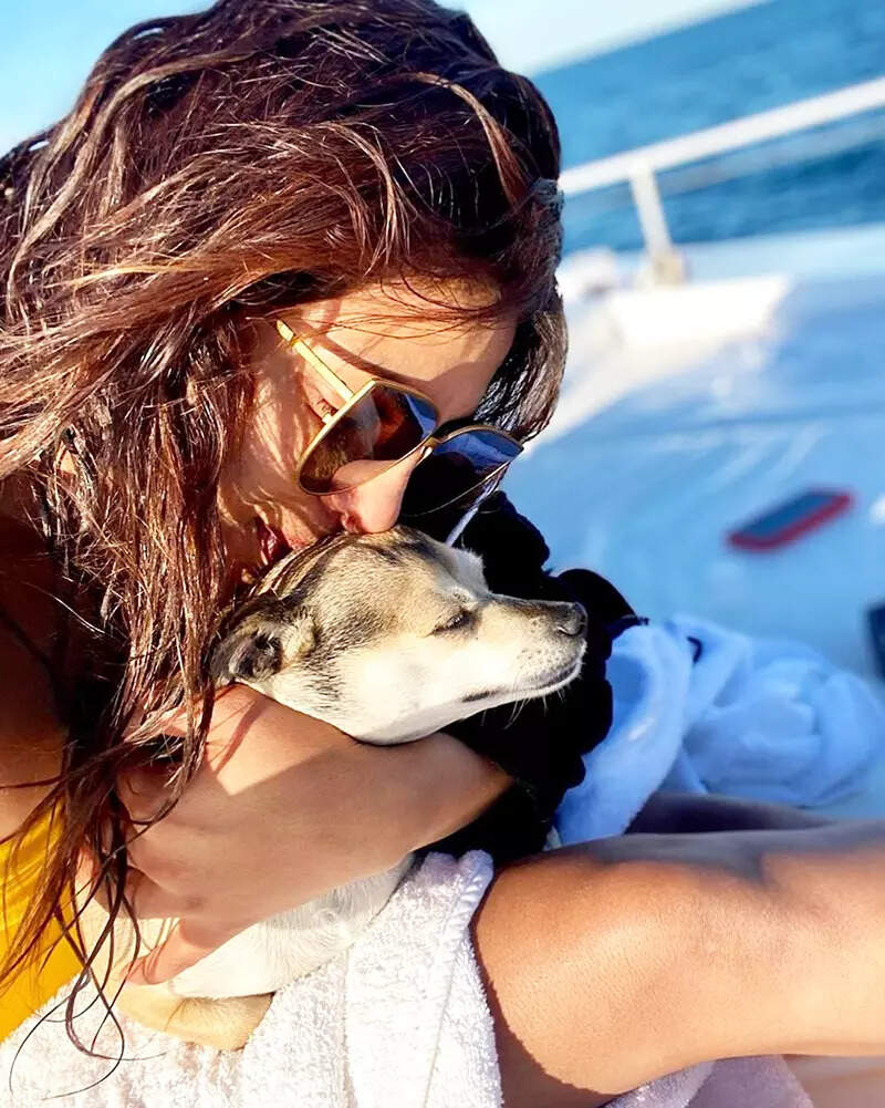 These stylish pictures of Priyanka Chopra in swimsuits will make you go wow!