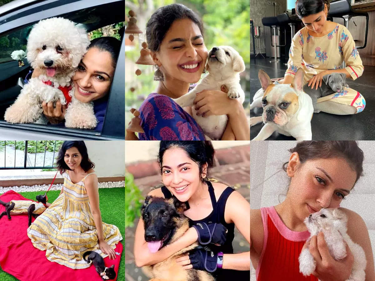 Actresses who have welcomed pets during the pandemic | The Times of India