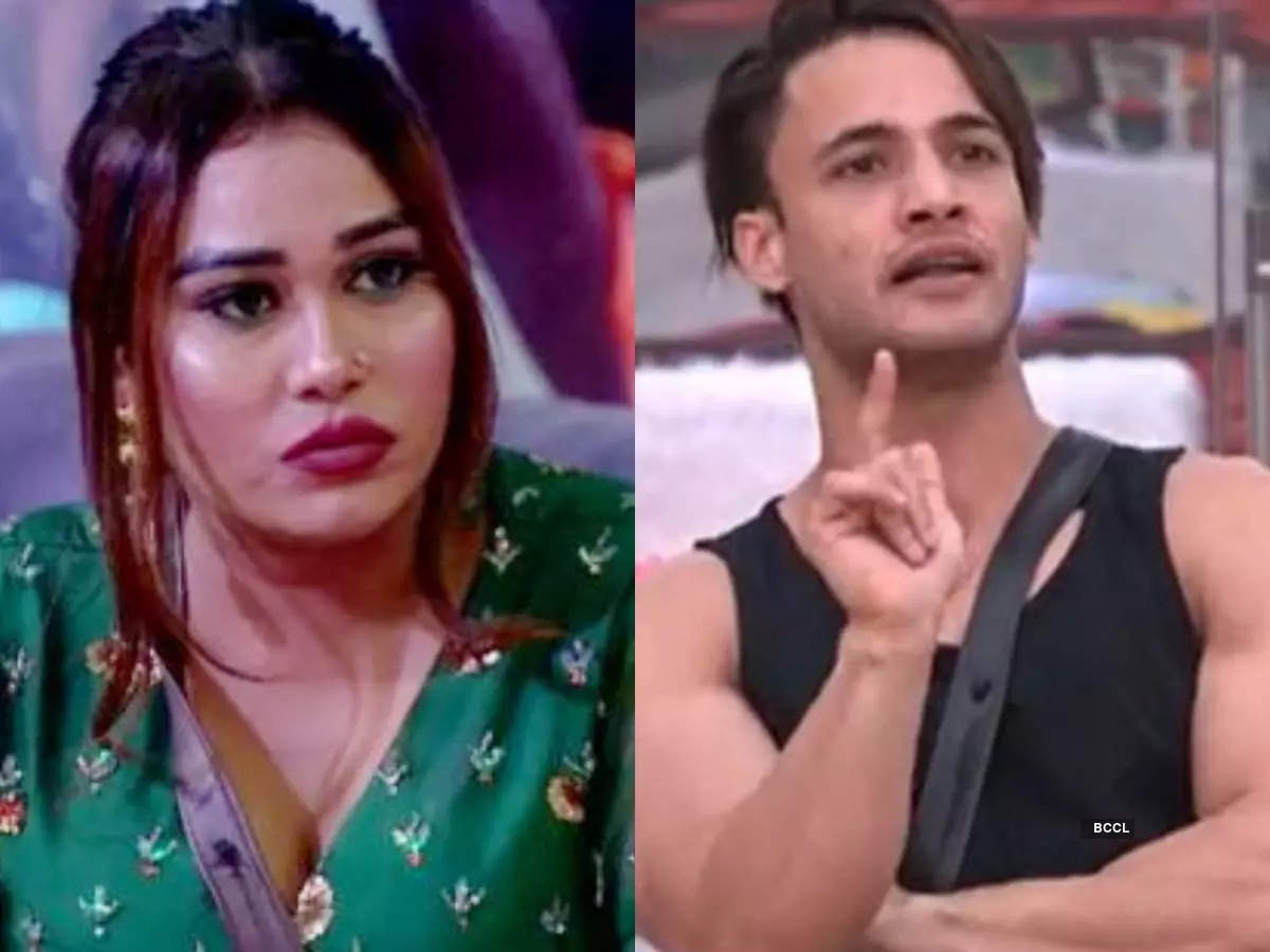 Afsana Khan, Asim Riaz: Celebs who were slammed for mocking sexual  orientation of fellow contestants in Bigg Boss