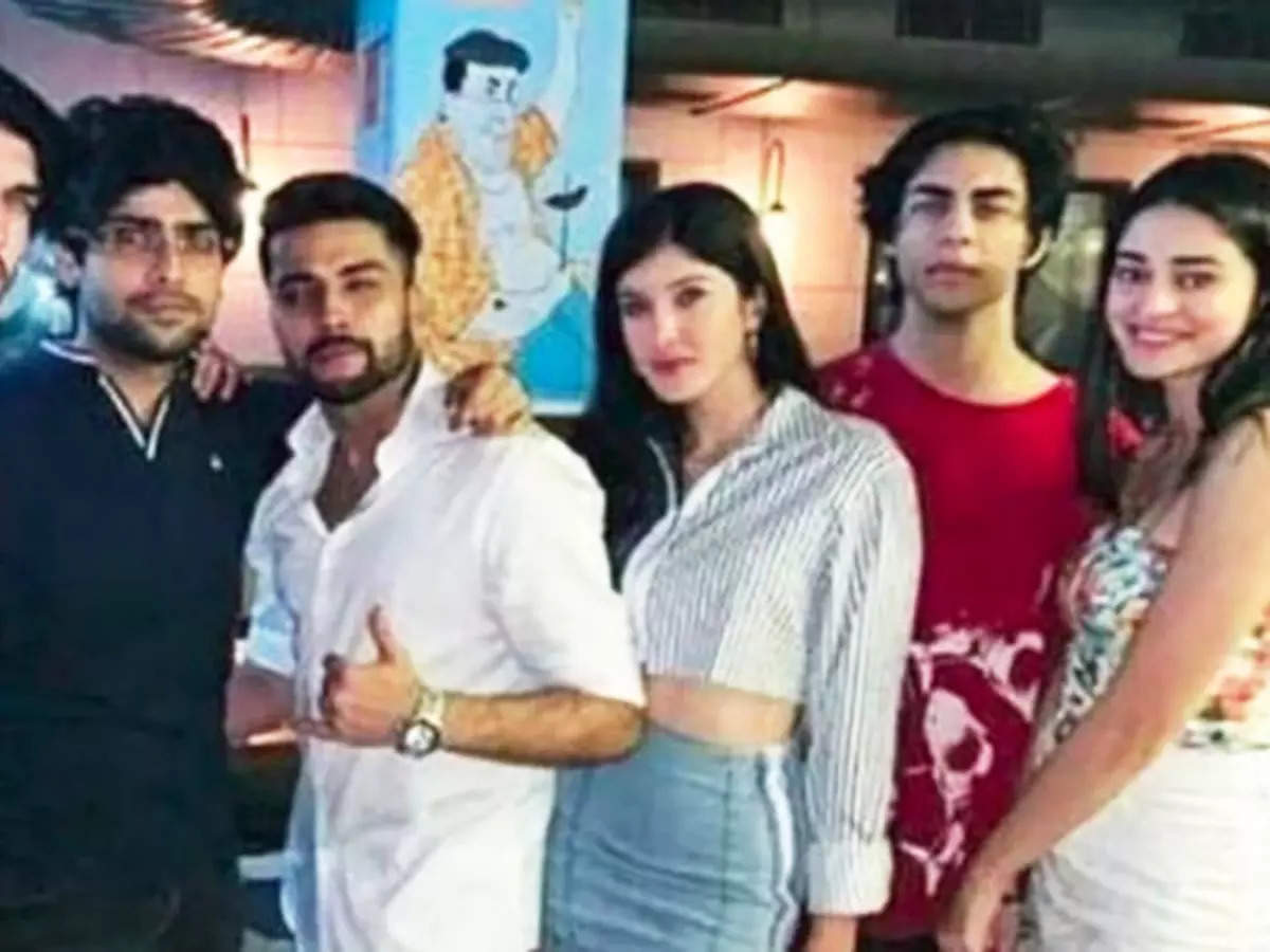 Drugs-on-cruise case: Pictures of Aryan Khan and Ananya Panday partying with BFFs go viral