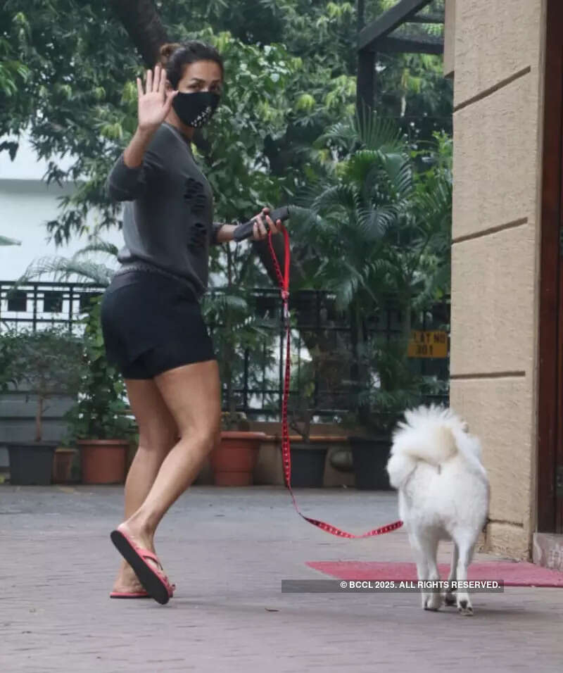 #ETimesSnapped: From Malaika Arora to Tamannaah Bhatia, paparazzi pictures of your favourite celebs