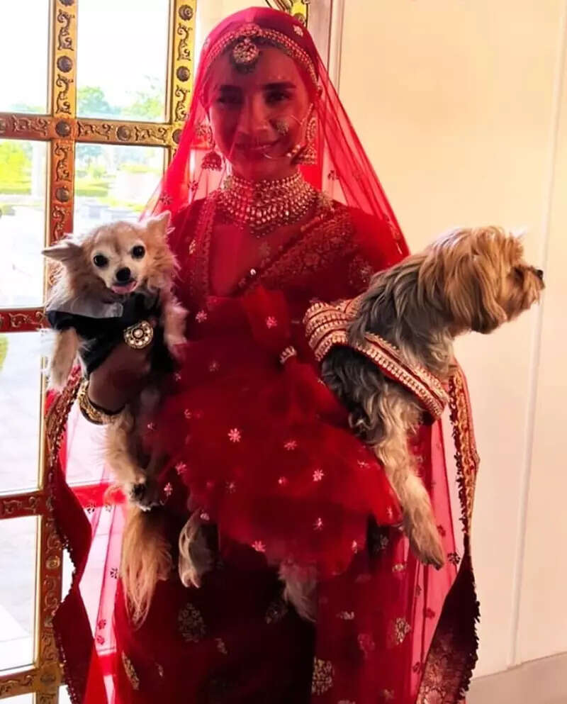 First pictures from Rajkummar Rao and Patralekhaa's intimate wedding ceremony