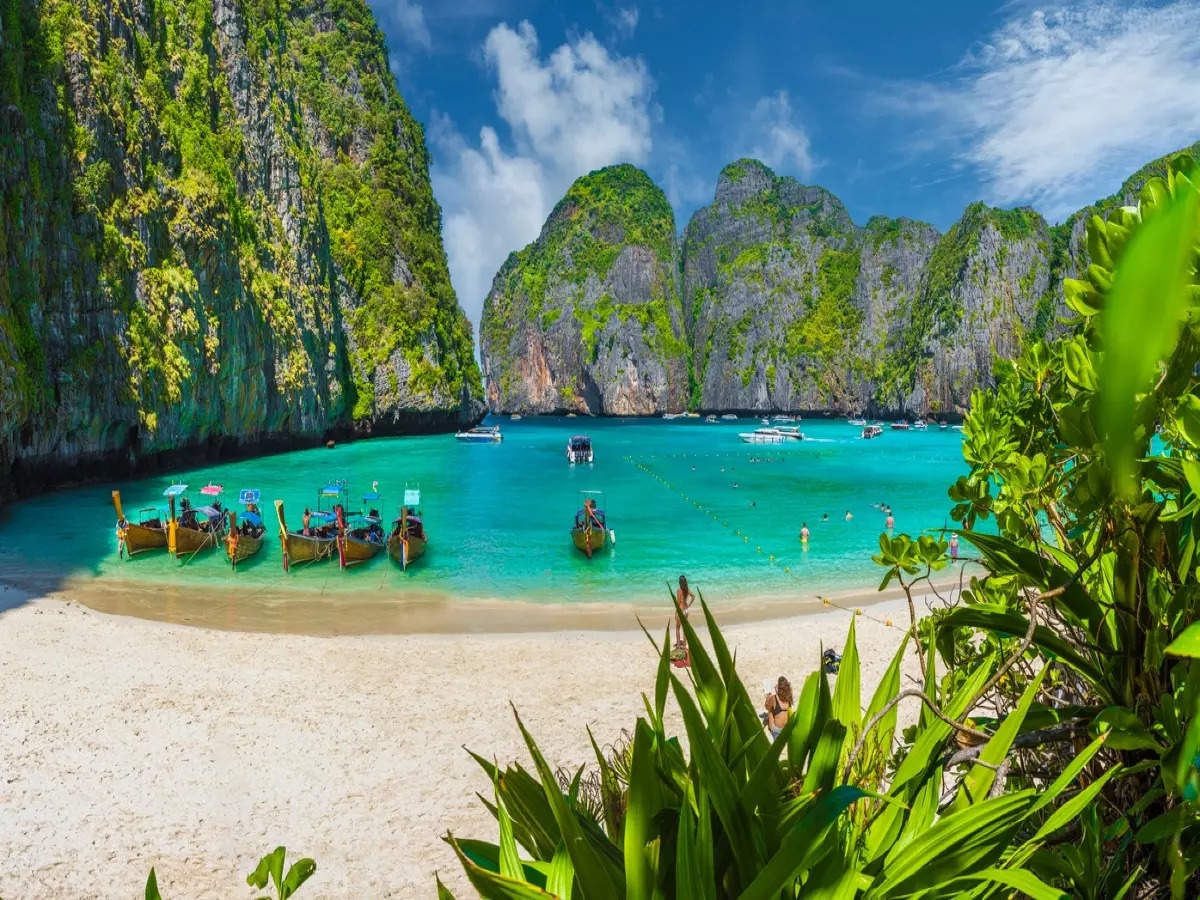 The Beach Scene from the movie The Beach - Maya Bay, Thailand 