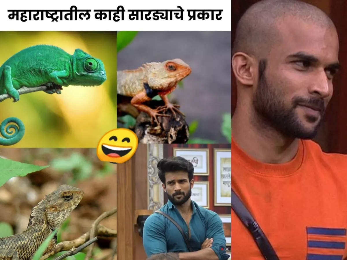 ​A netizen compared Vishal with a chameleon (Sarda)