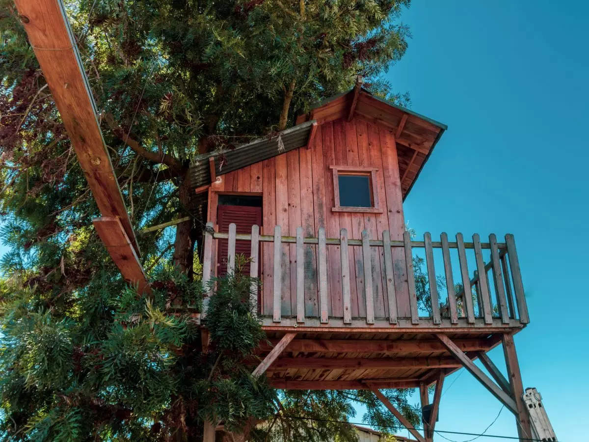 You will soon be able to stay in a treehouse in Uttarakhand ...