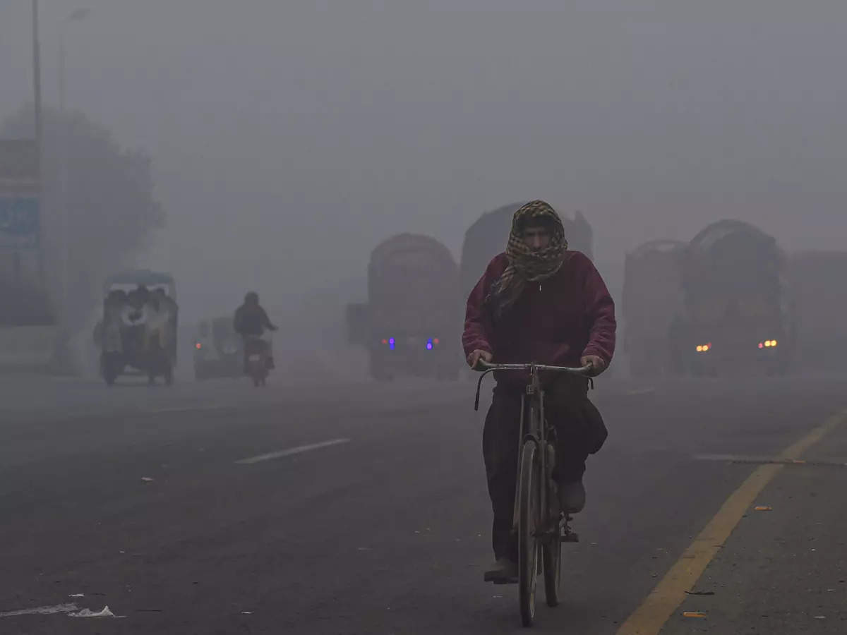 These pictures show intensity of cold wave in North India
