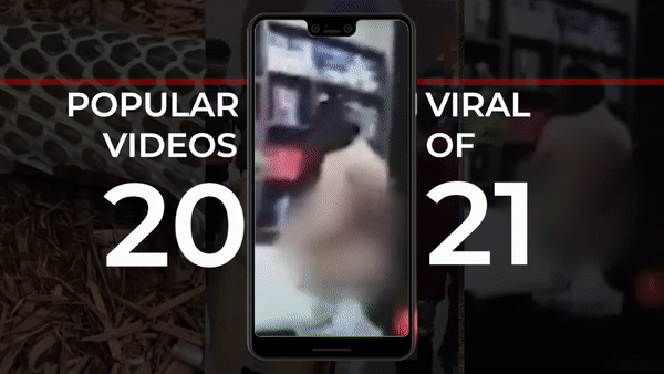 2021: Here are the top five viral videos of the year