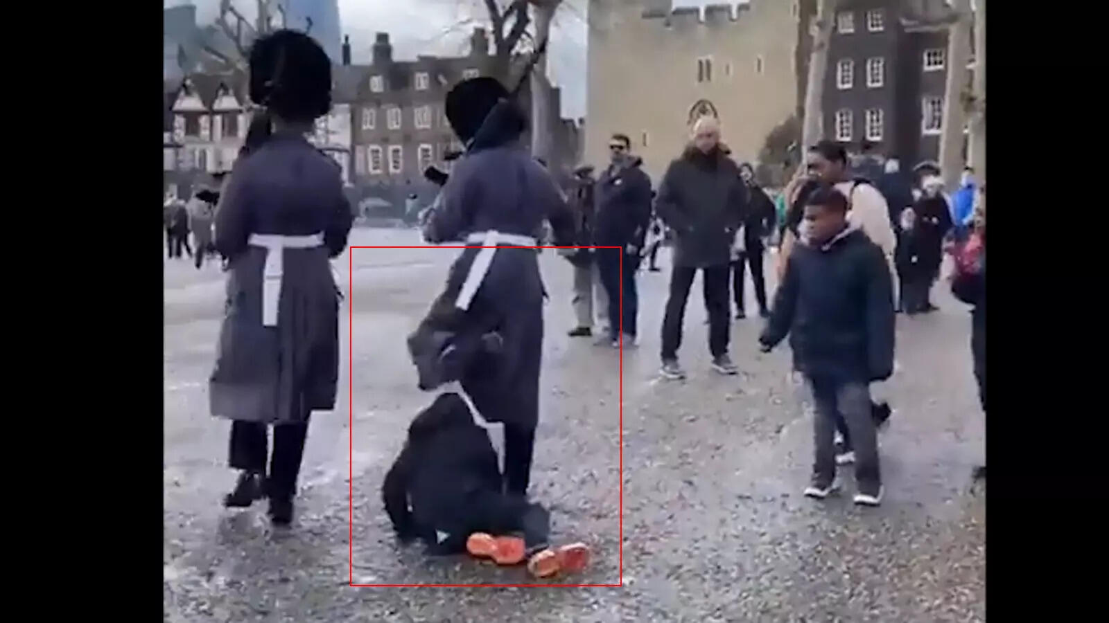 Viral video Queen's Royal Guard knocks child to the ground during march