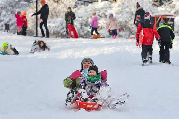 Washington receives heavy snowfall as winter storm sweeps the US capital; see pics