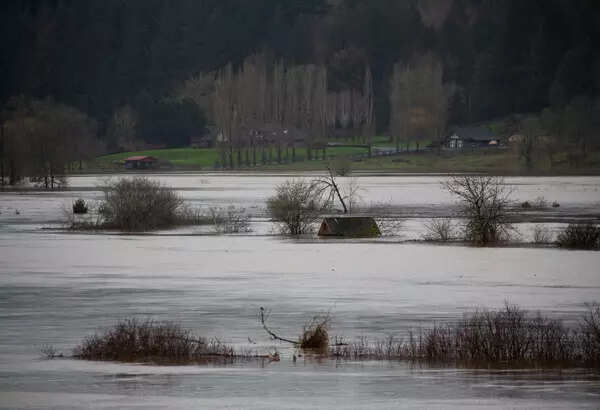 Massive flooding hit Chehalis, Washington; see pics