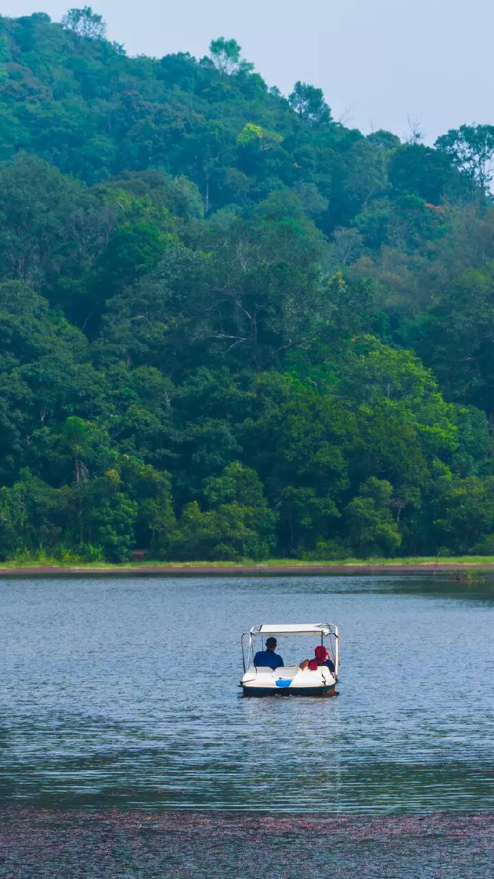 One Day Trip From Kerala Places You Can Cover In Kerala In Just 1 Day Times Of India