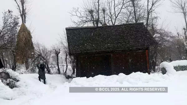 Tourists enjoy fresh snowfall in Kashmir; see pics