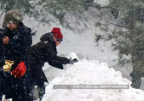 Tourists enjoy fresh snowfall in Kashmir; see pics