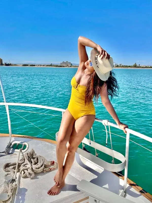 Priyanka and Nick's pictures