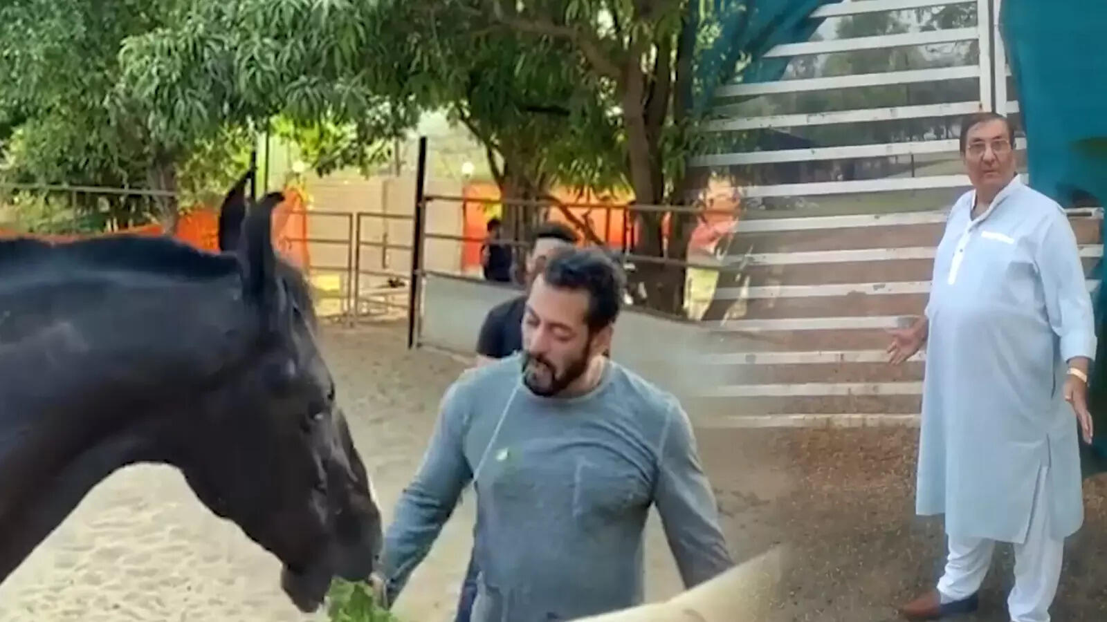 Salman Khan's Panvel farmhouse neighbour claims that bodies of film stars are buried at the property | Hindi Movie News - Bollywood - Times of India