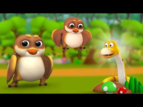 ஆந்தையின் பயம் தமிழ் கதை | Owl's Fear Tamil Story | 3D Animated Kids Moral  Stories | Entertainment - Times of India Videos