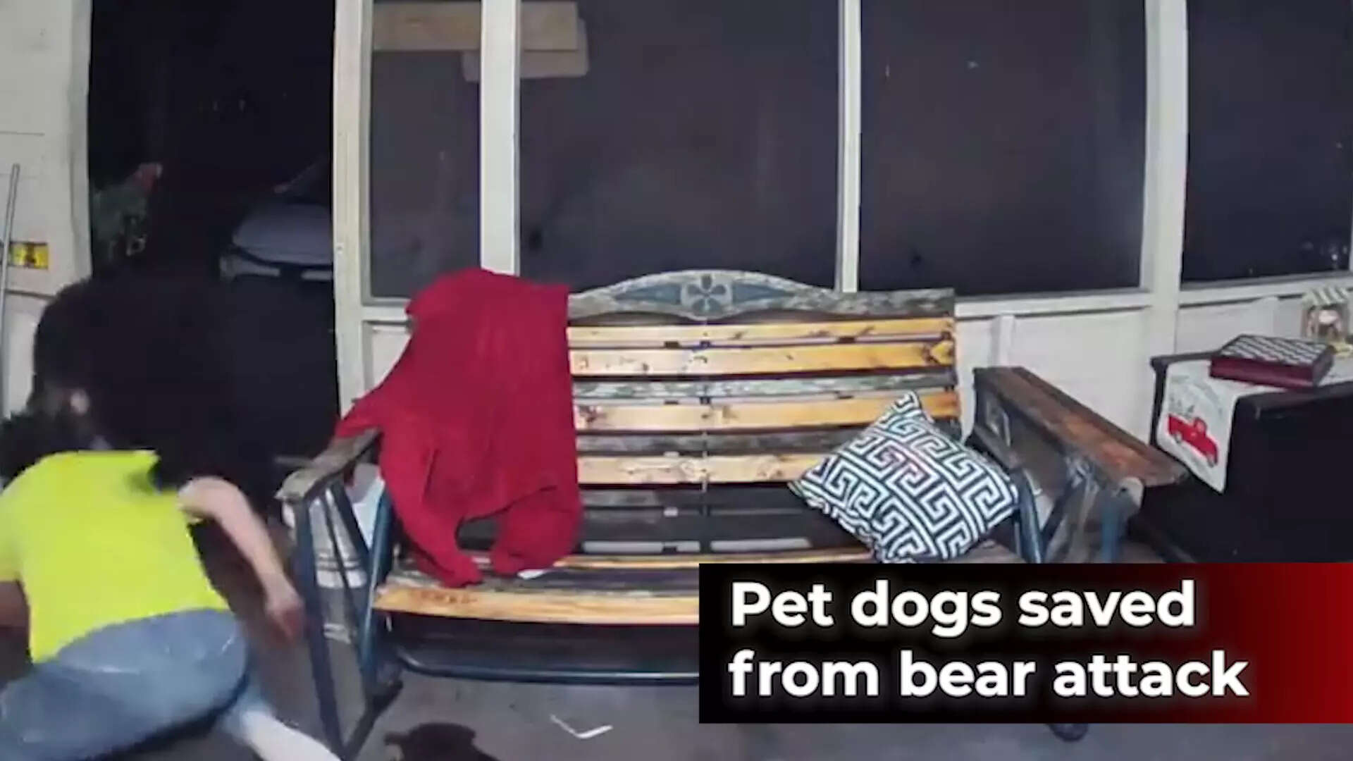 Caught on cam Man saves his dogs from bear attack(00)