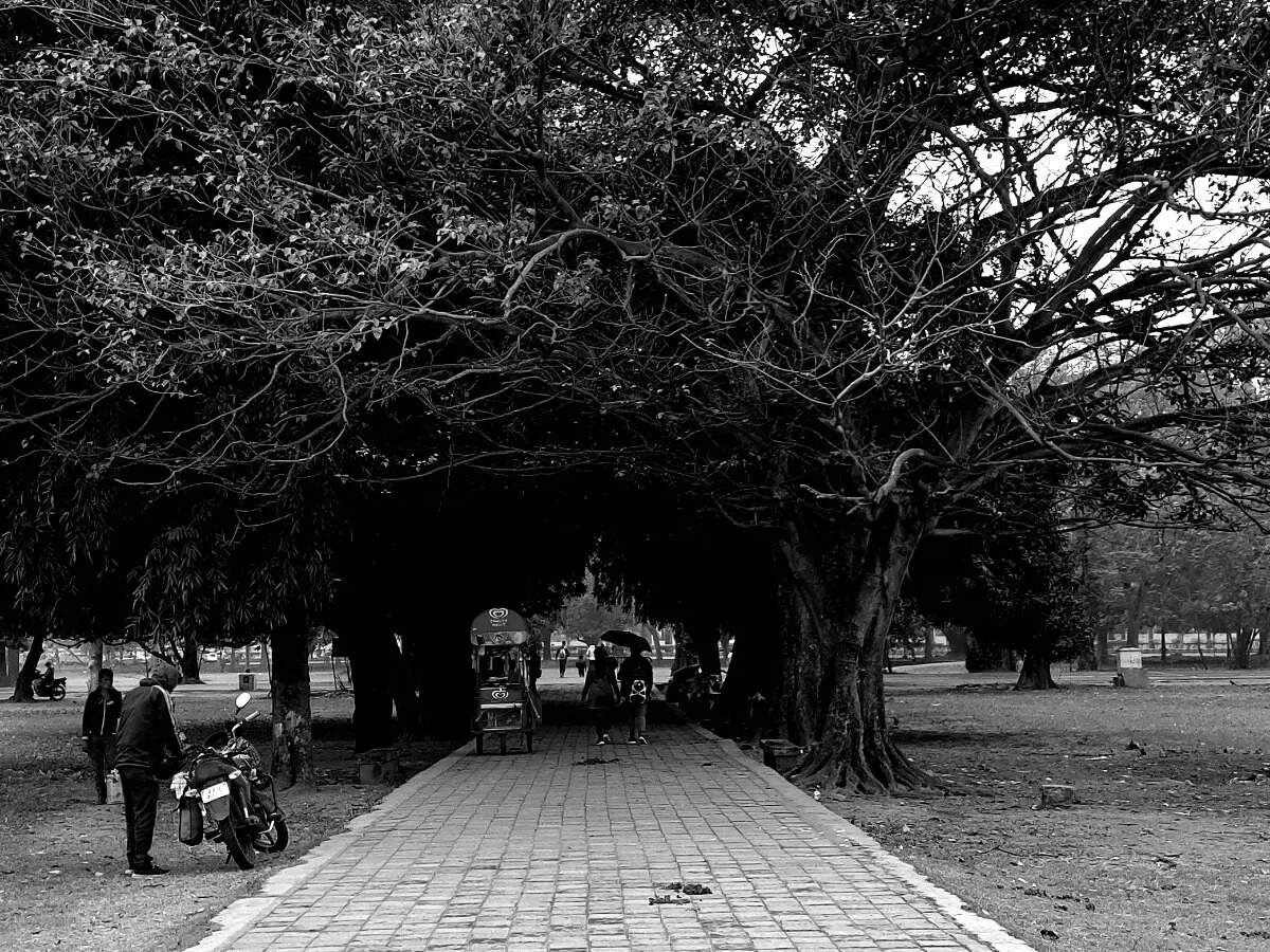 An idler's account of a day in Kolkata's Maidan | Times of India Travel