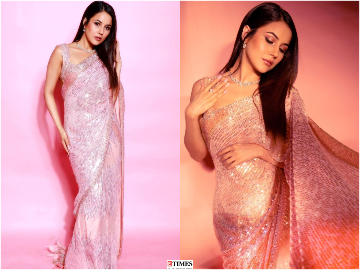 Shehnaaz Gill in a sequinned pink saree leaves us spellbound, pictures capture her ethnic glamour