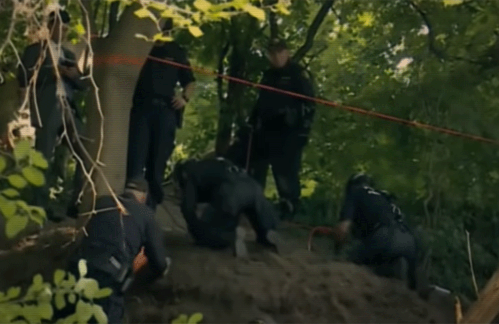 Catching Killers Season 2 Review It is superficial but snackable