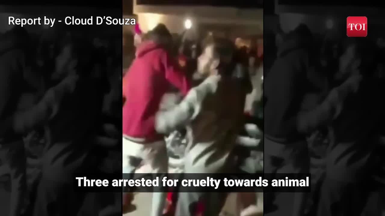 Three people arrested for cruelty towards animal