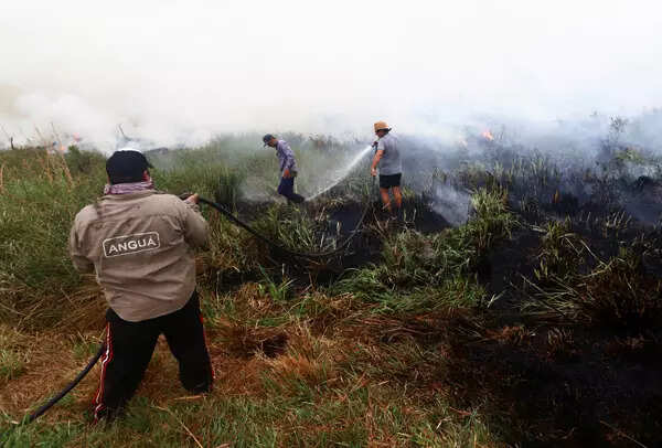 Argentina wildfire engulfs 500,000 hectares; see pics