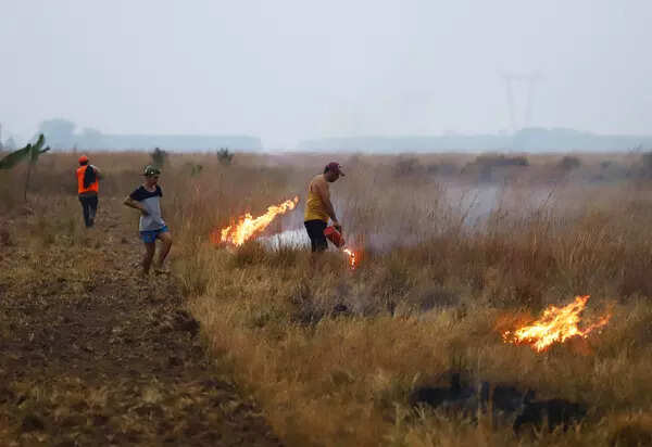 Argentina wildfire engulfs 500,000 hectares; see pics