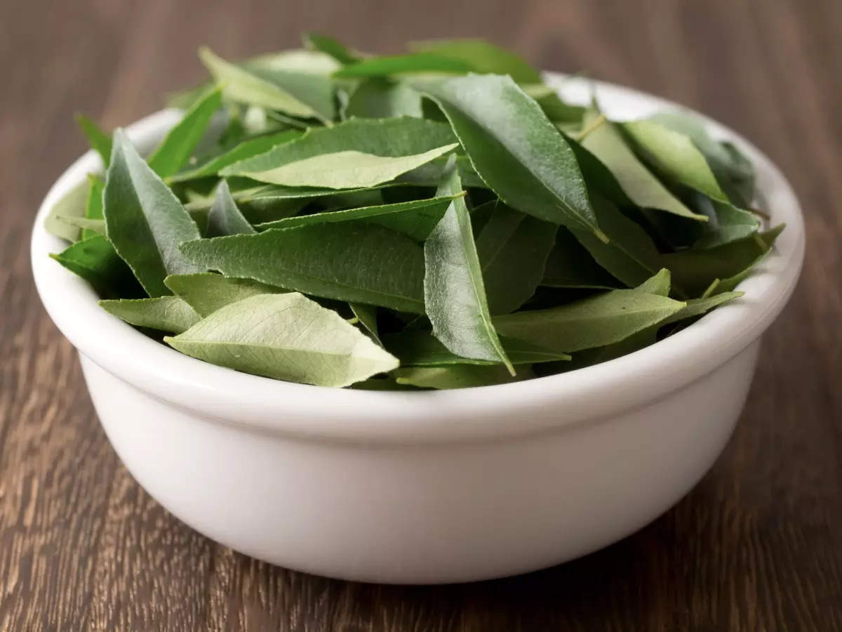 Use curry leaves in these ways to include them in your daily diet | The  Times of India