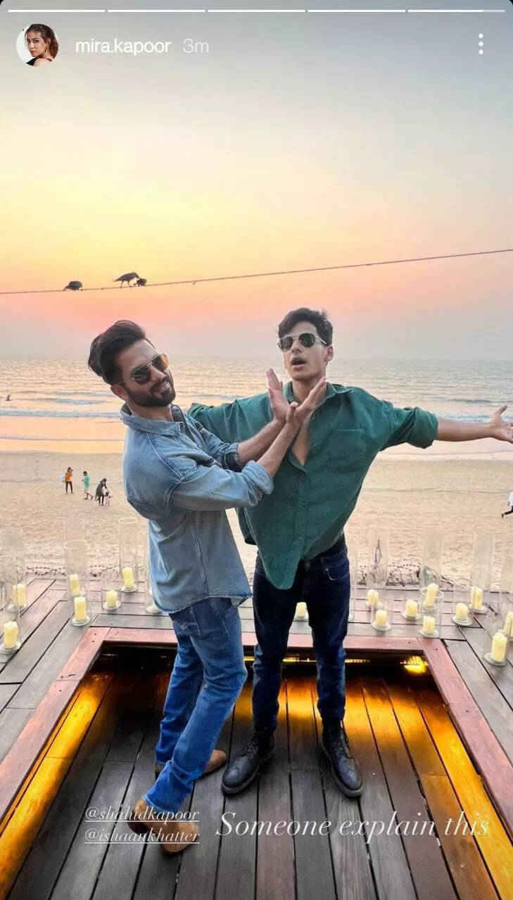 shahid-kapoor-birthday
