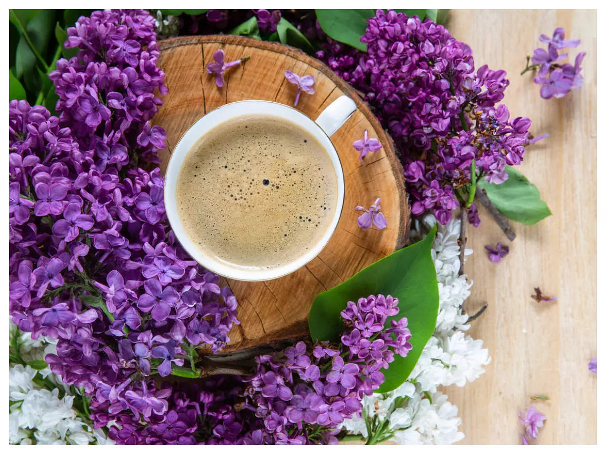 what is lavender milk tea? what makes it the healthiest tea in the