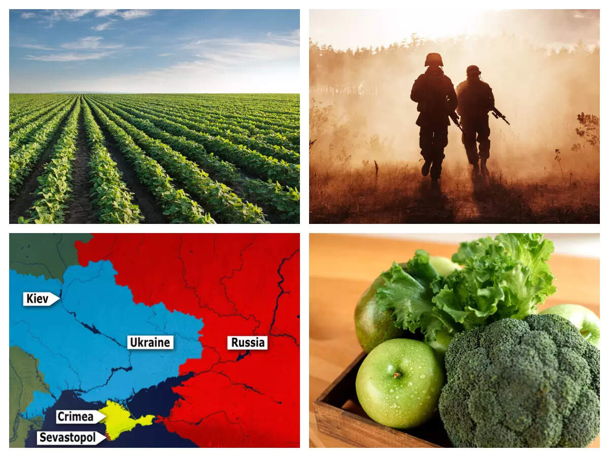 Can Ukraine-Russia war disrupt the global food production and impact food prices?