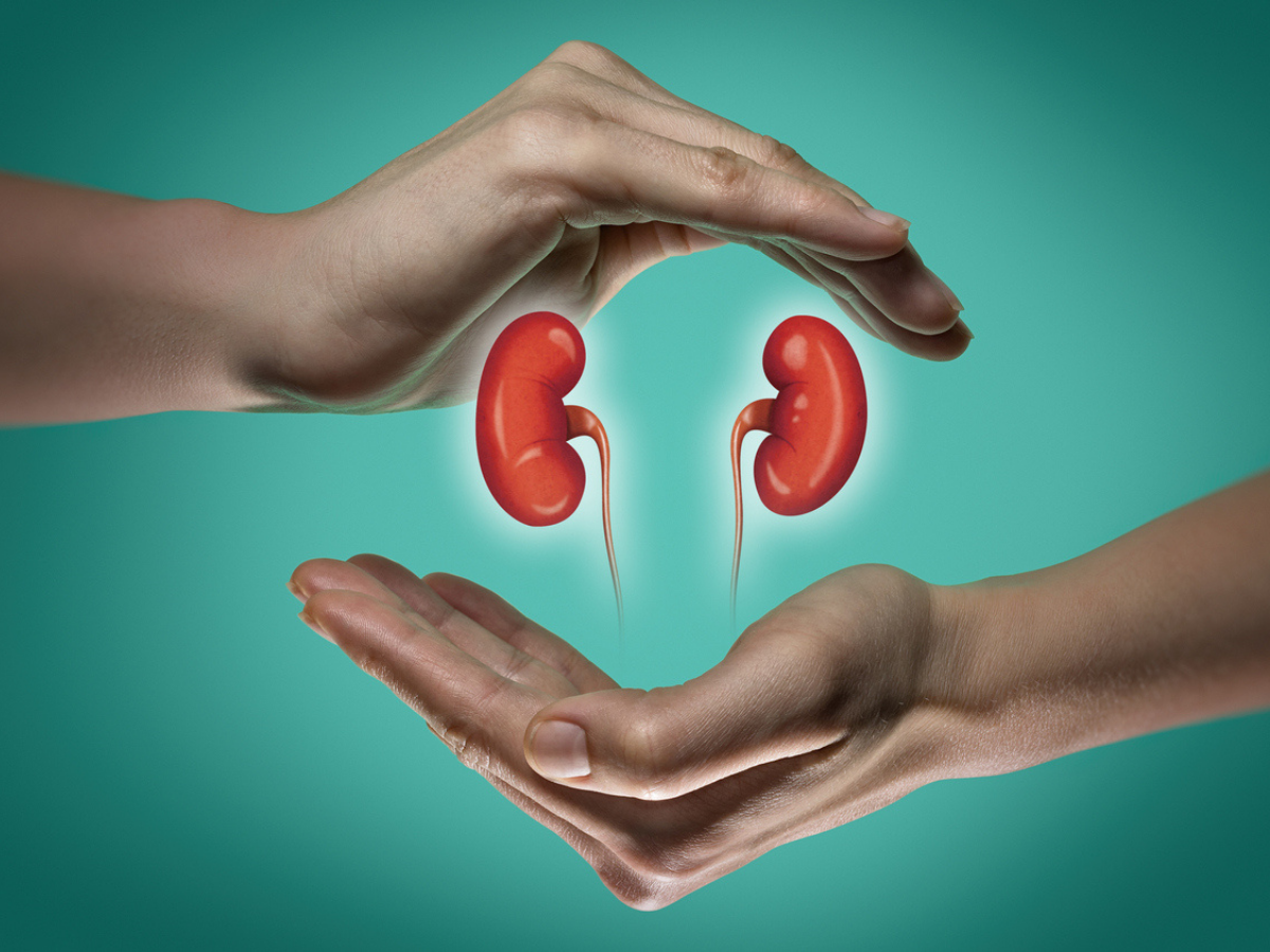 Docs clarify how a high-salt and a high-protein weight loss program hurt your kidneys |  The Instances of India