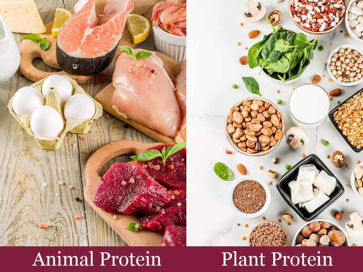 Difference between animal and plant protein and which is healthier | The  Times of India