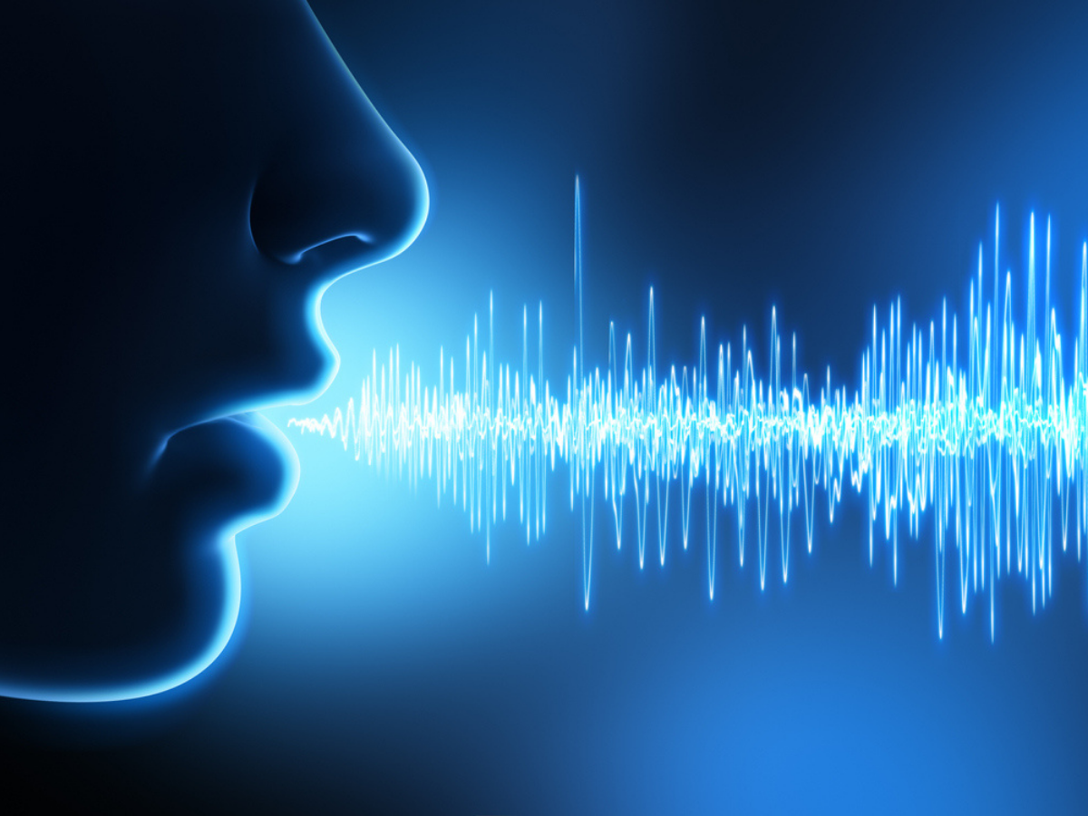 Speech synthesis voice. Идентификация по голосу. Биометрия по голосу. Голос человека. Идентификация по характеристикам речи.