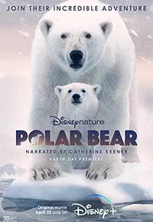 Polar-BearP