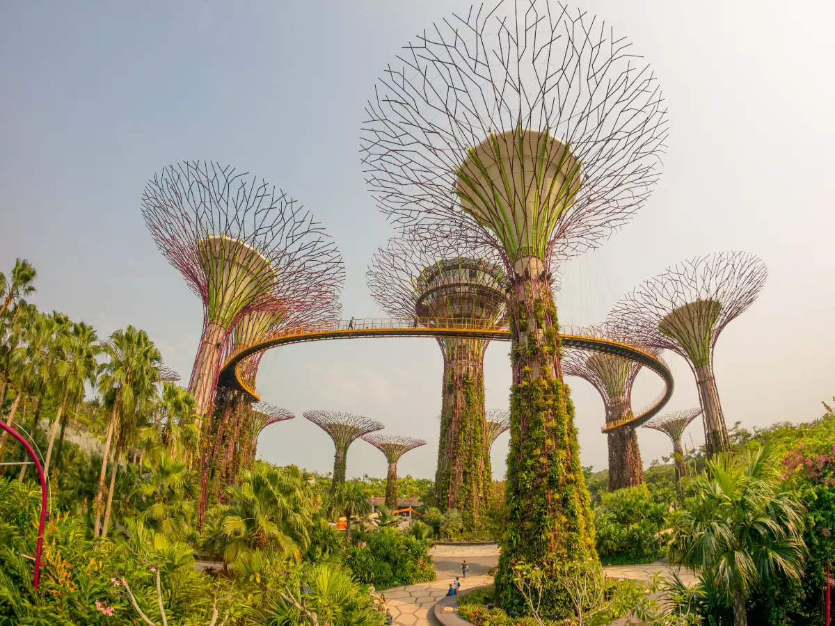 Planen Sie eine Reise nach Singapur, da das Land die Reisebeschränkungen für COVID-19 lockert