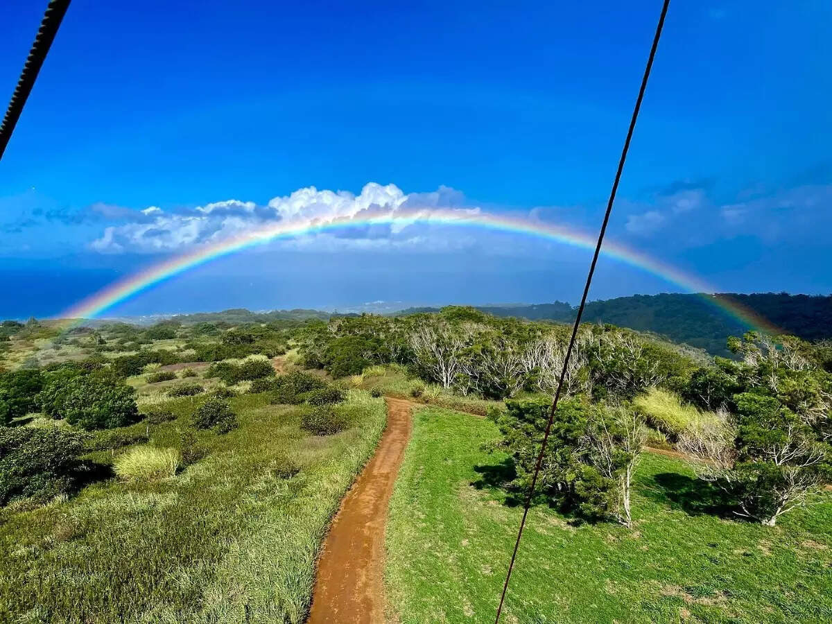 Hawaii's longest suspension bridge hangs at 1600 ft above the Maui