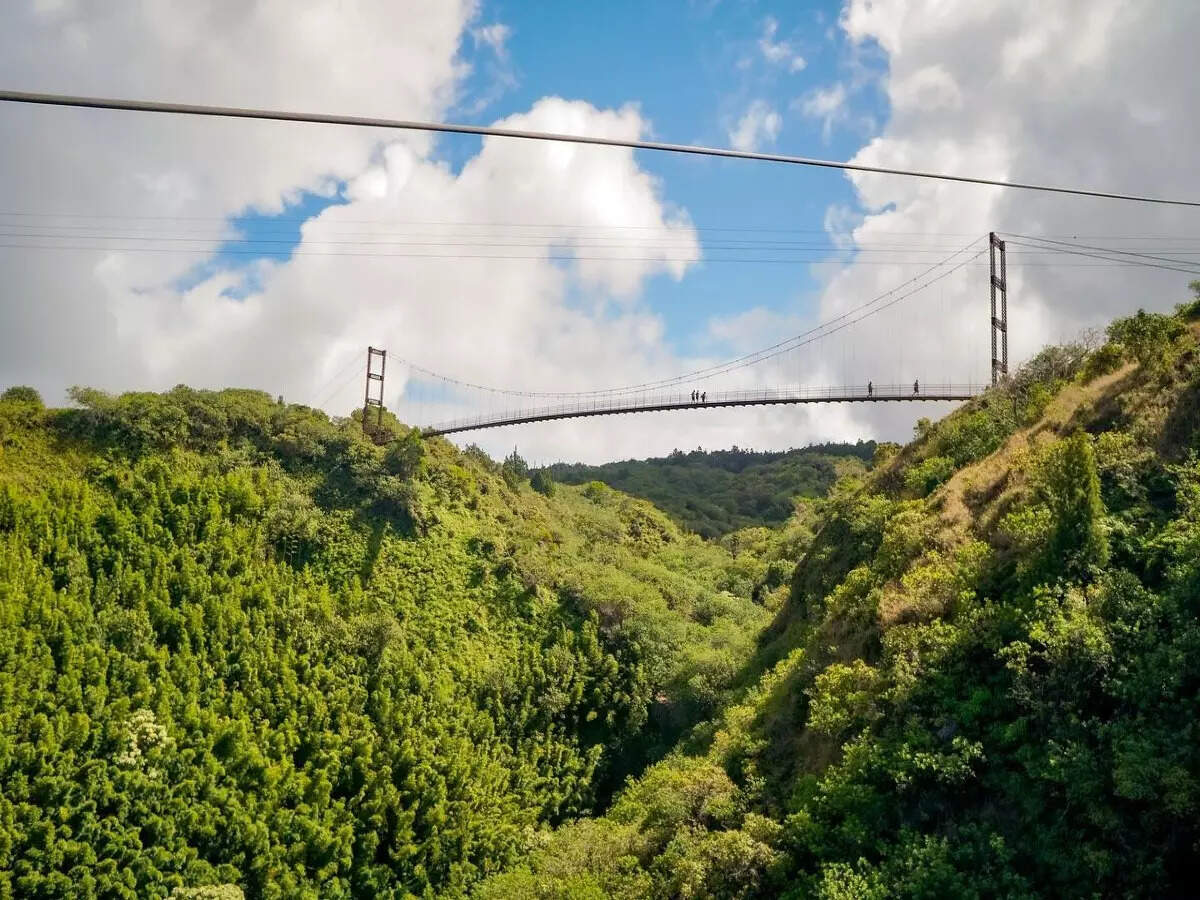 Hawaii's longest suspension bridge hangs at 1600 ft above the Maui
