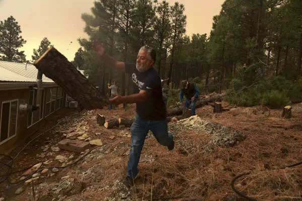 Wildfire engulfs pine forests in New Mexico