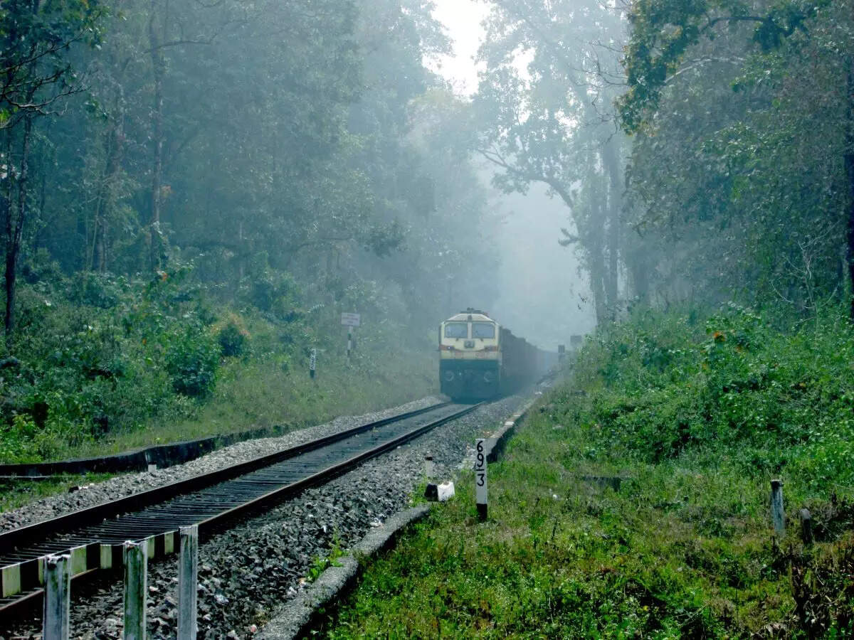 Free train rides! This Indian train has been offering free rides since 73 years Free train rides! This Indian train has been offering free rides since 73 years