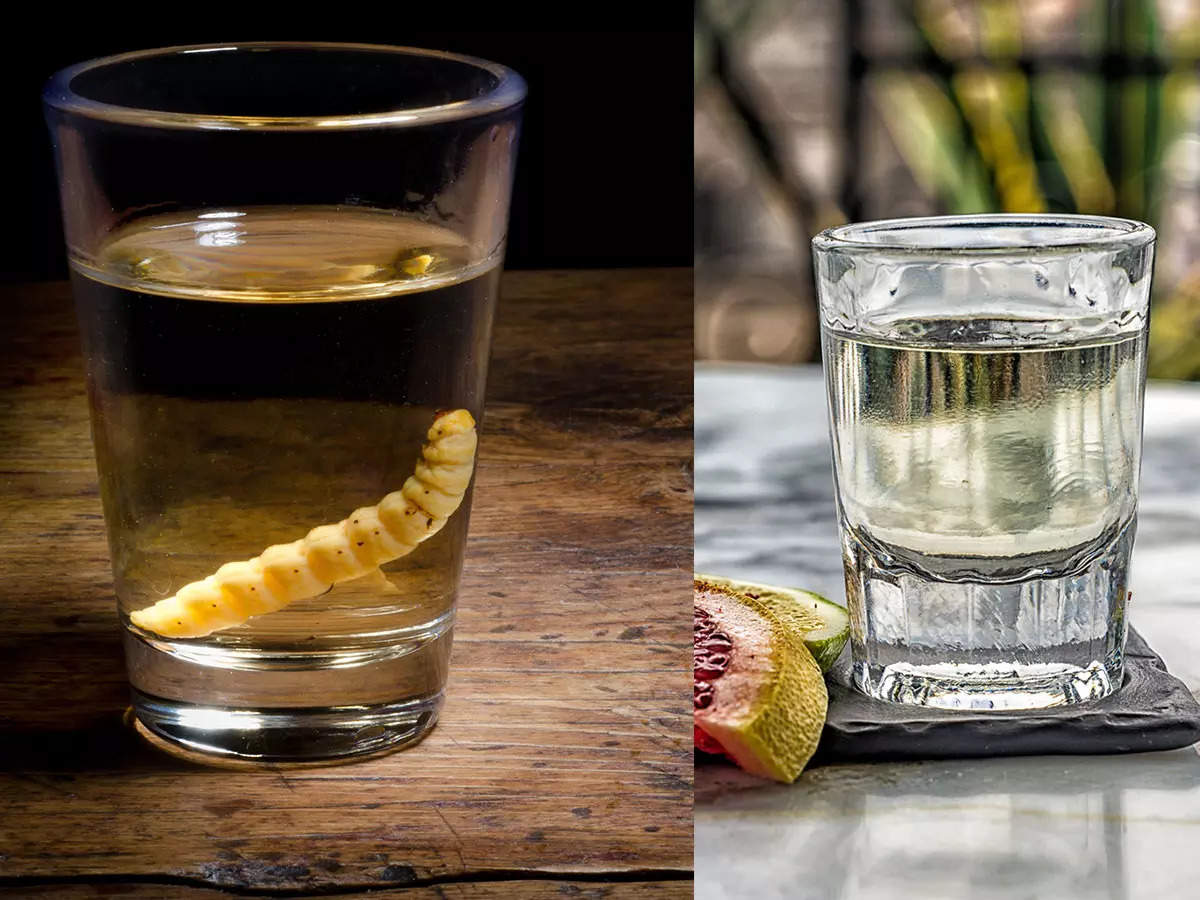 What is Mezcal and how it is different from tequila? | The Times of India