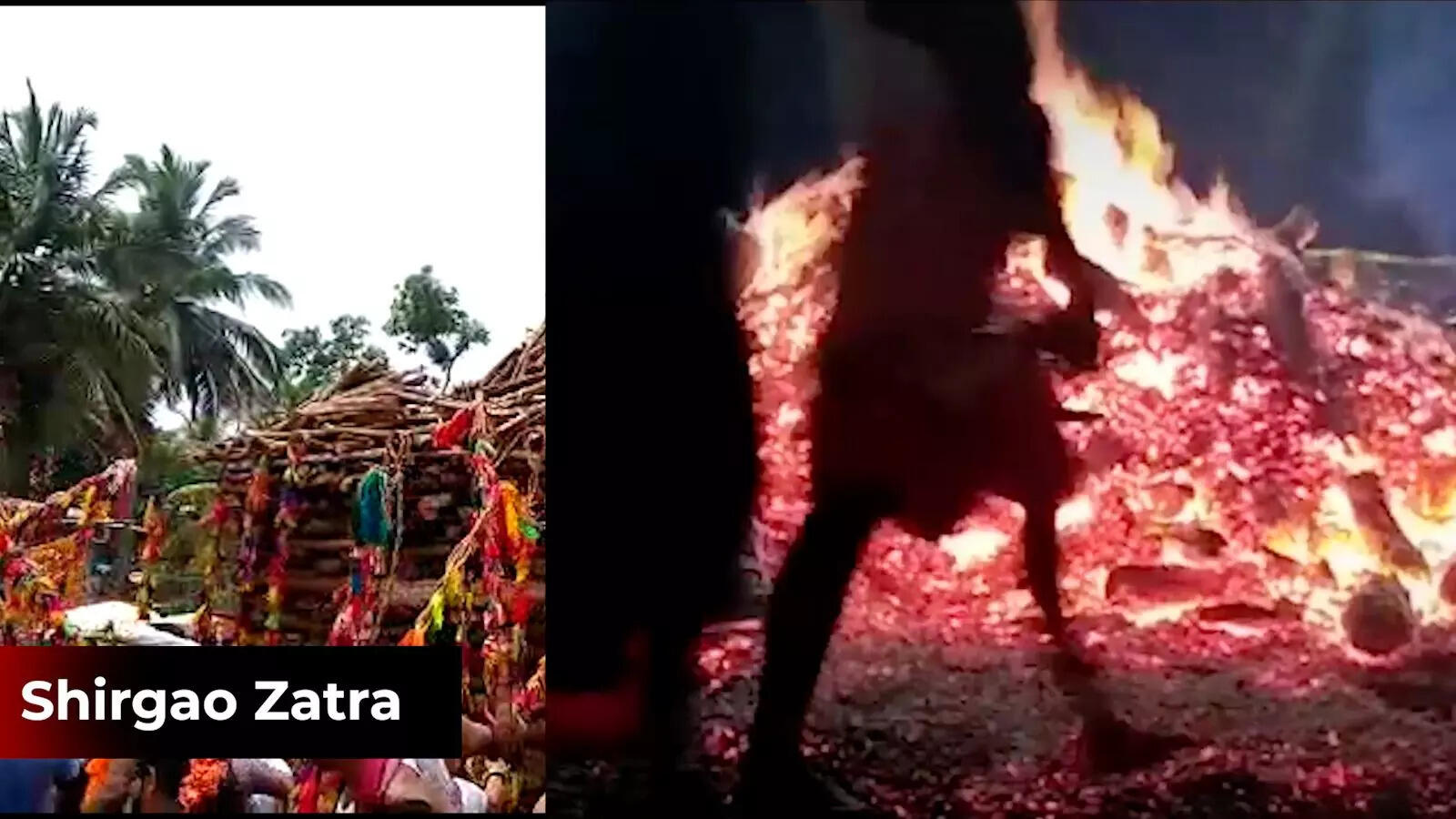 Goa: Shirgao celebrates zatra, ritual of walking on live embers held