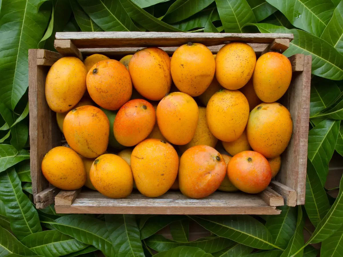 Most popular mango varieties
