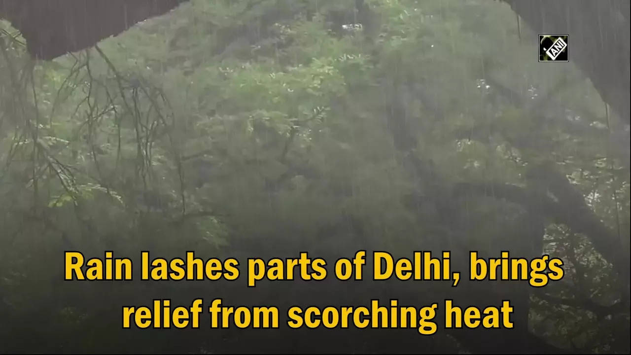 Rain Lashes Parts Of Delhi Brings Relief From Scorching Heat