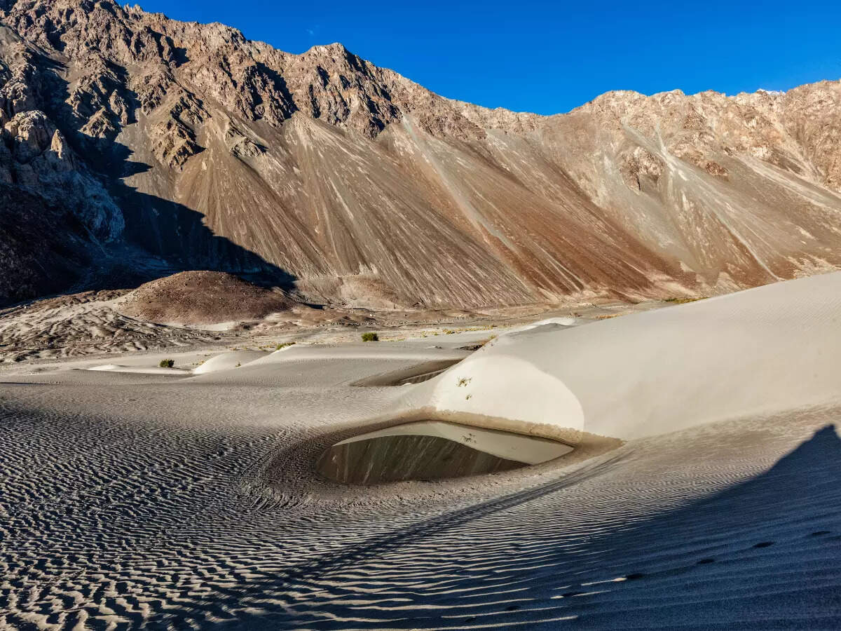 Ladakh's Nubra Valley will soon host the 6th Siachen Folk Festival Ladakh's Nubra Valley will soon host the 6th Siachen Folk Festival