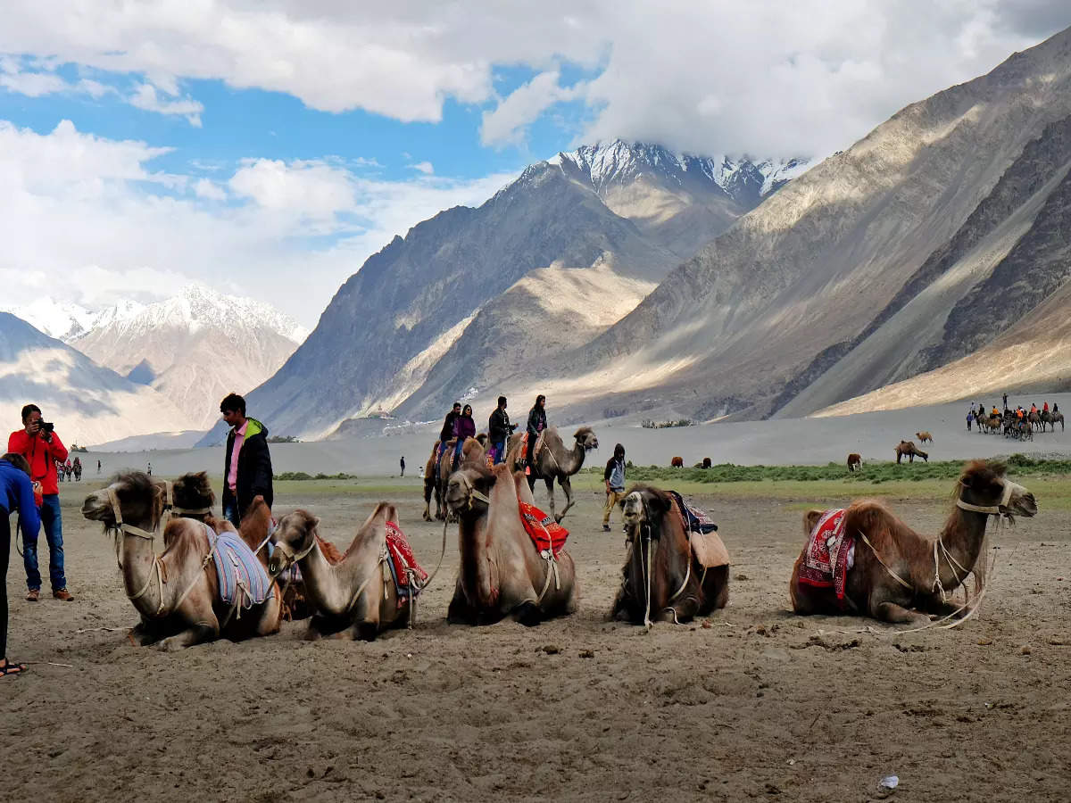 Ladakh News: Ladakh to give Nubra Valley an upgrade and develop Sumoor ...