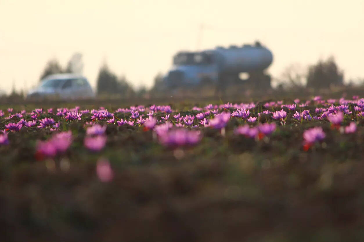 Kishtwar, a hidden gem in Kashmir, launches thrilling sports activities for adventure lovers!