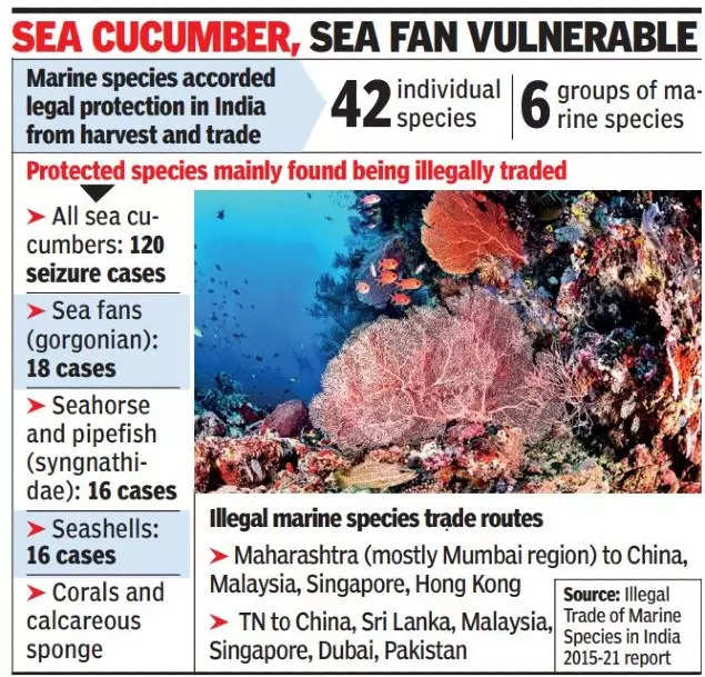 '12 illegal marine trade cases in Maharashtra, 123 in…