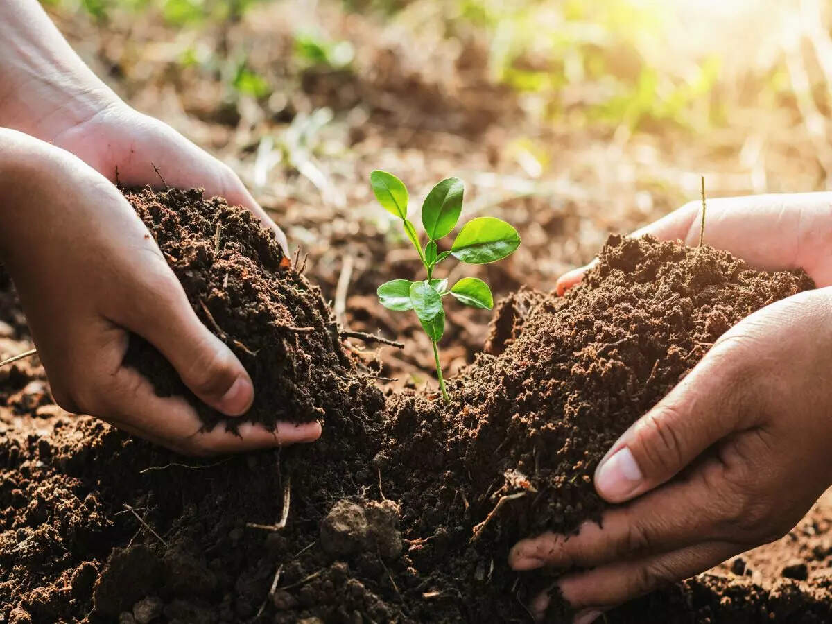 Have you been to this Rajasthan village that celebrates the birth of every girl child by planting 111 trees? Have you been to this Rajasthan village that celebrates the birth of every girl child by planting 111 trees?